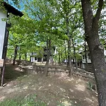 геша форест Drjanovo