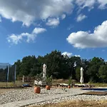 геша форест * Drjanovo