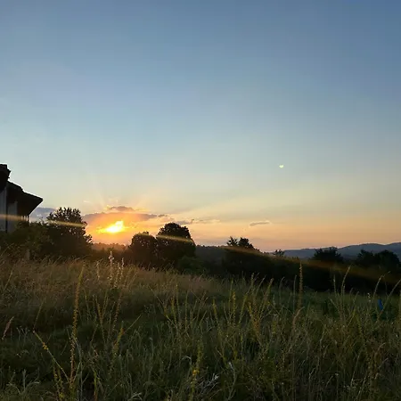 геша форест Willa Drjanowo