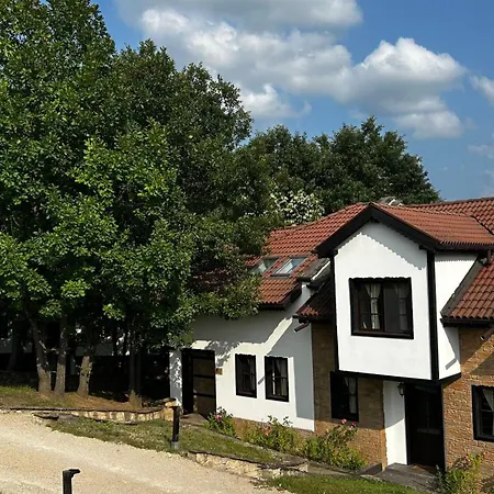 геша форест *