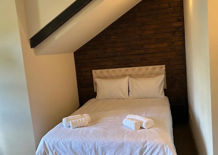 геша форест