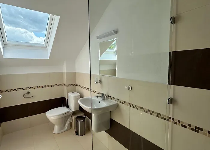 Villa геша форест Drjanovo