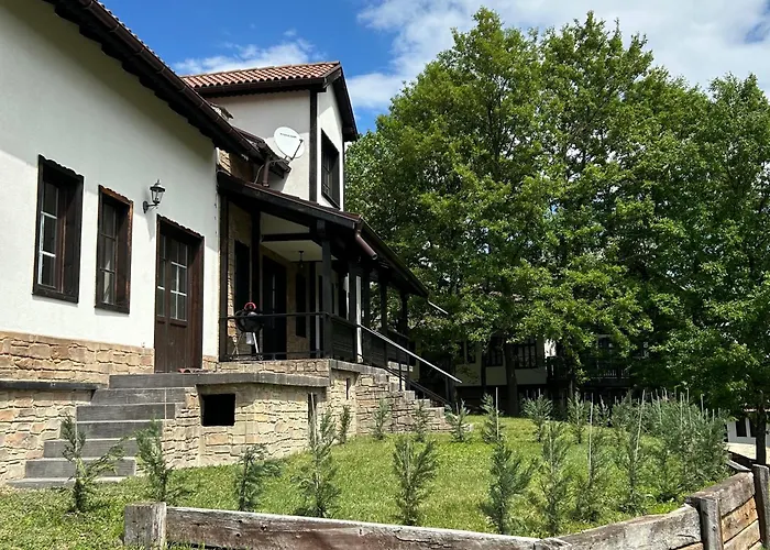 геша форест Villa Drjanovo