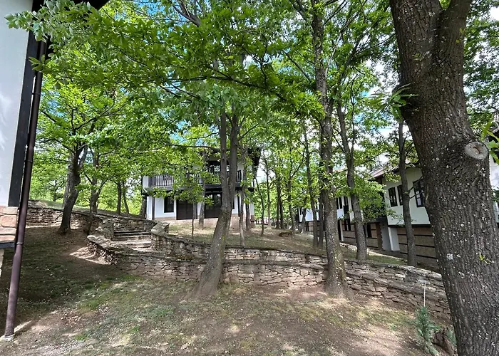 геша форест Drjanowo