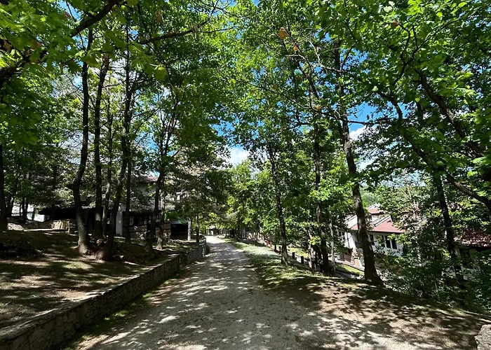 геша форест *