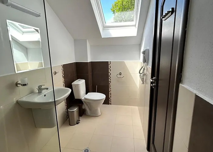 геша форест *