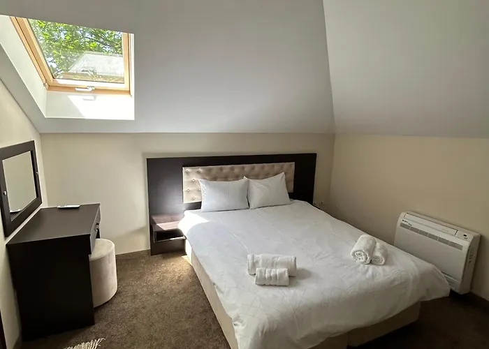 геша форест