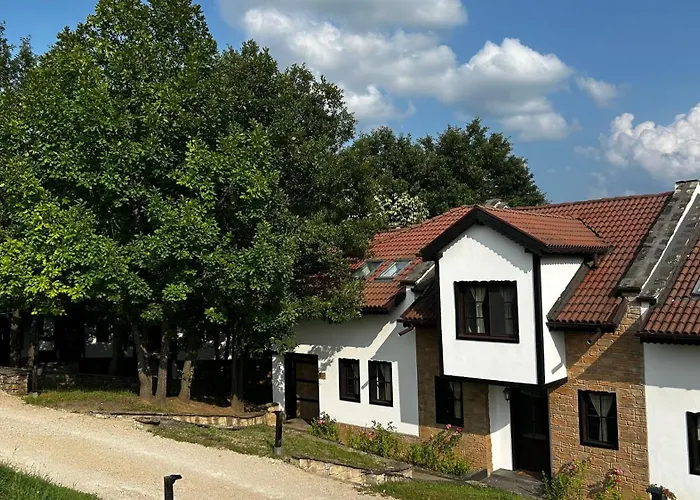 геша форест *